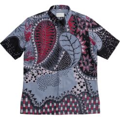 Tapiru
